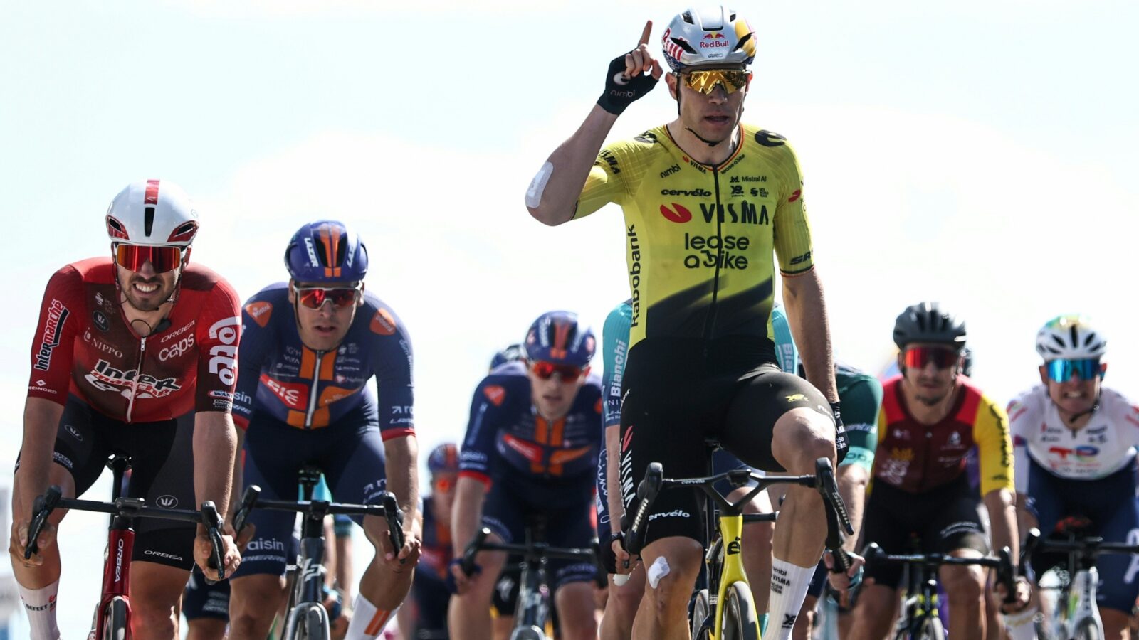 Victory in the bird park: Wout Van Aert